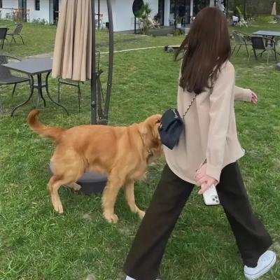 失落的天使