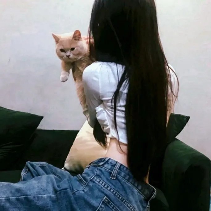飞车歌舞三人组